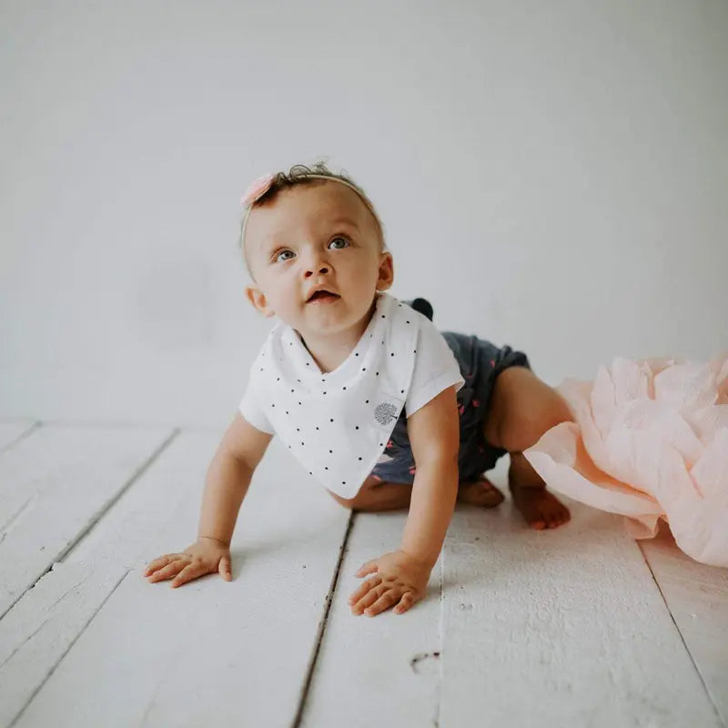 Blush Bandana Bib Set