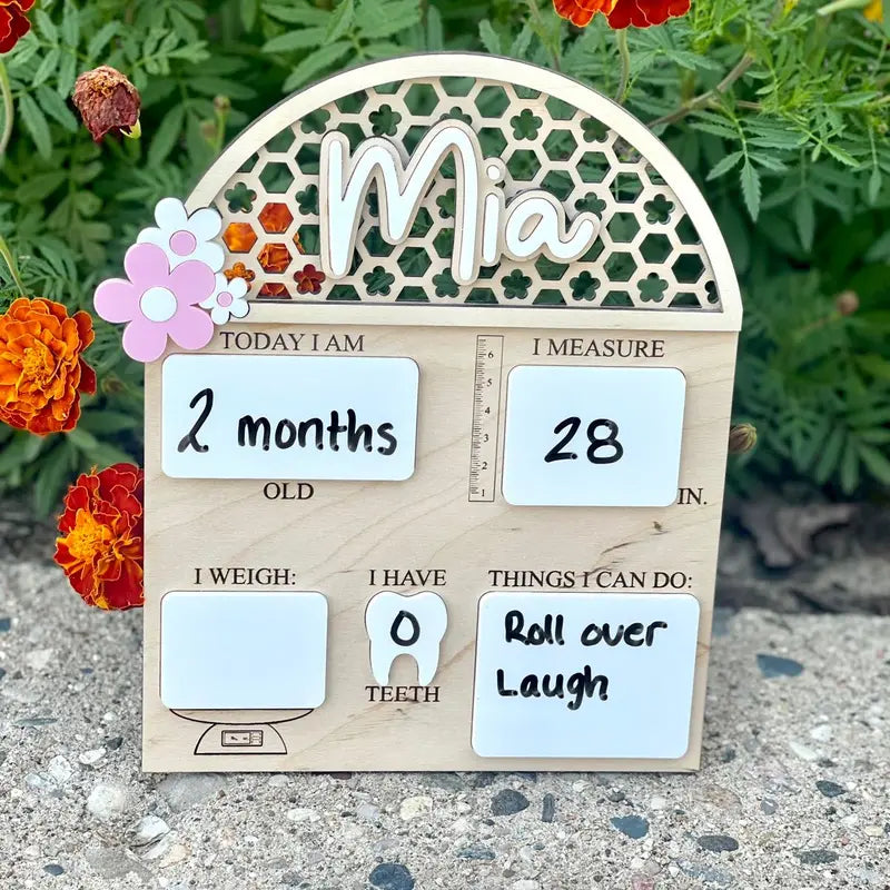 Baby Monthly Milestone Board, Baby’S Monthly Milestones, Dry Erase Baby Board, Personalized Baby Milestone Board, Baby Milestones