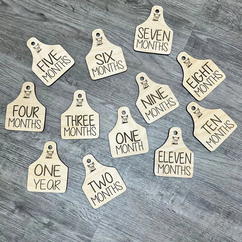 Cow Tag Baby Milestones, Baby Shower Gift, Baby Boy, Baby Girl, Birth Announcement Sign, Engraved Wood Monthly Milestone Photo Prop, Highland Cow Baby