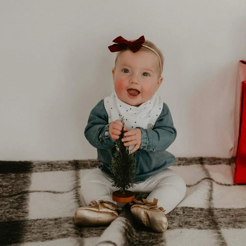 Blush Bandana Bib Set